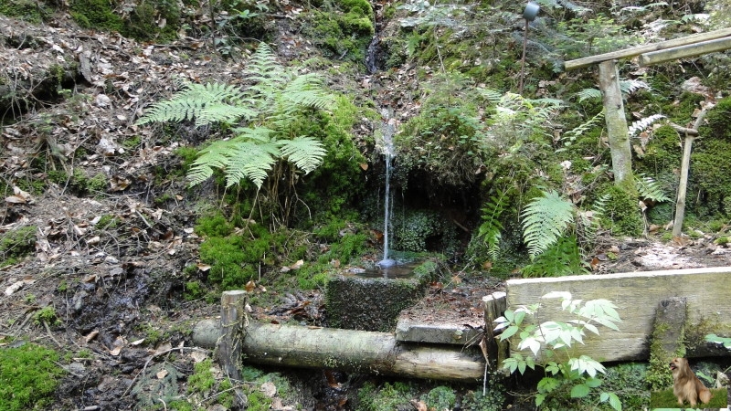 Ritterstein Nr. 178-1 Buchelbrunnen.JPG - Ritterstein Nr.178 Buchelbrunnen